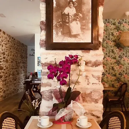 Hotel Solea House Boutique