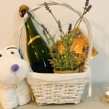 Solea House Boutique Benicàssim